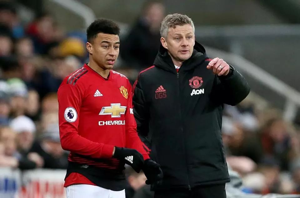 领域迈出了 领域迈出了